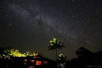 Macadamia Meadows Farm Bed & Breakfast Naalehu Esterno foto